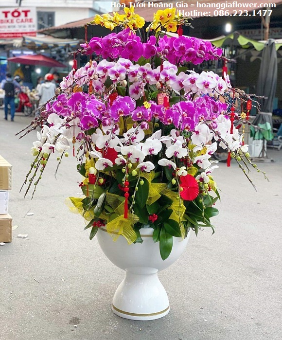 dien-hoa-thai-thuy-thai-binh-top-2-hoa-tuoi-hoang-gia