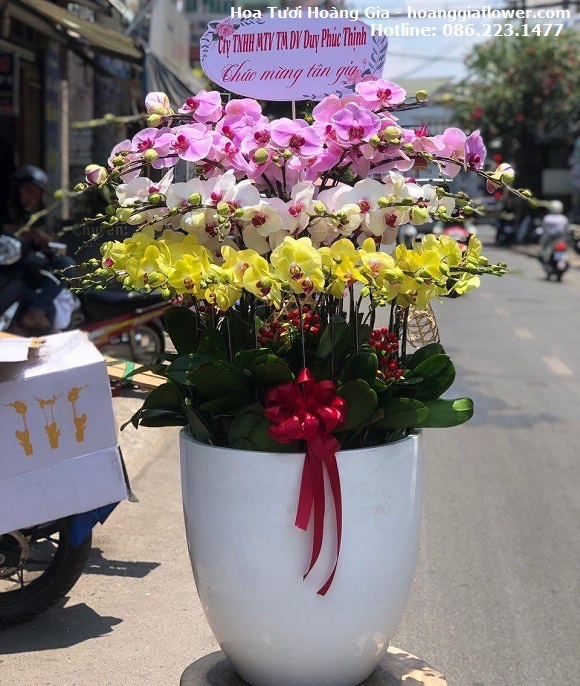 dien-hoa-trang-bom-dong-nai-top-2-hoa-tuoi-hoang-gia