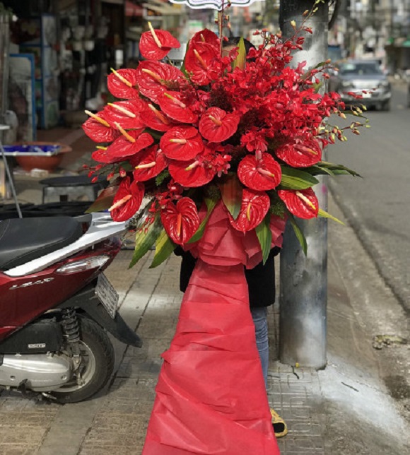 tiem-hoa-tuoi-vinh-bao-hai-phong-top-5-hoa-nhu-y-flower