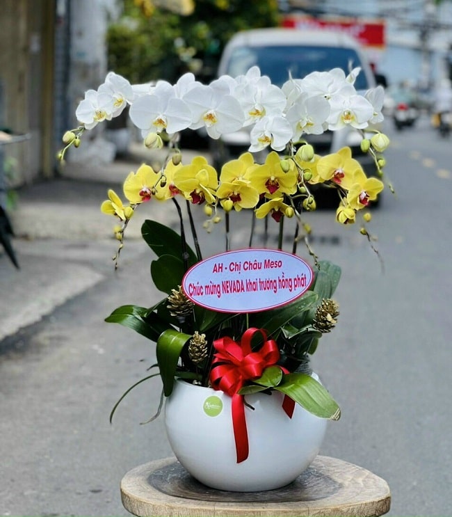 Tổng Hợp 10 Shop Hoa Uy Tín Nhất Ninh Hòa Khánh Hòa - Top các shop hoa - AZinfo