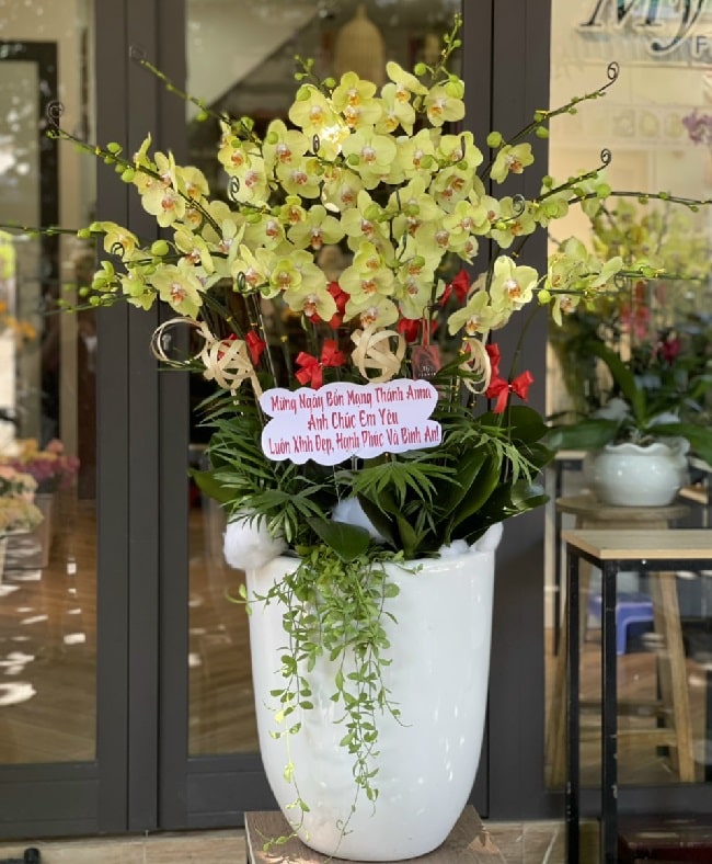 Tổng Hợp 10 Shop Hoa Uy Tín Nhất Hưng Hà Thái Bình - Top các shop hoa - AZinfo